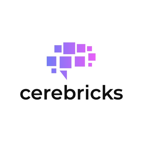 cerebricks GmbH