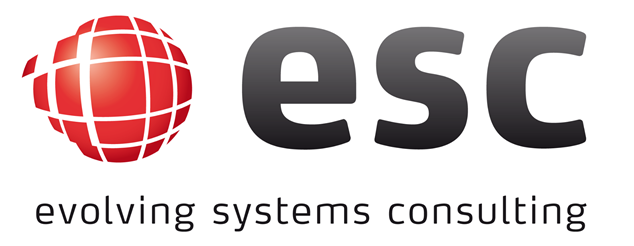 evolving systems consulting GmbH