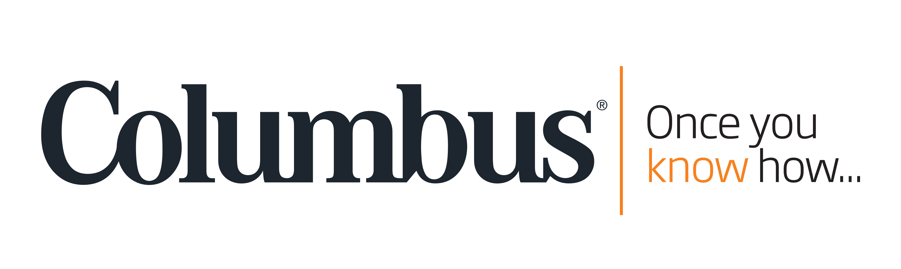 company logo